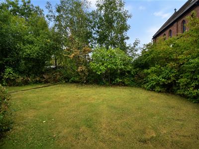 Picture 25
